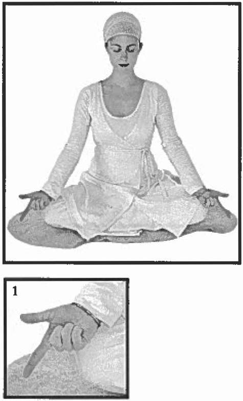 Meditation Series for Preventing Mega Information Syndrome
