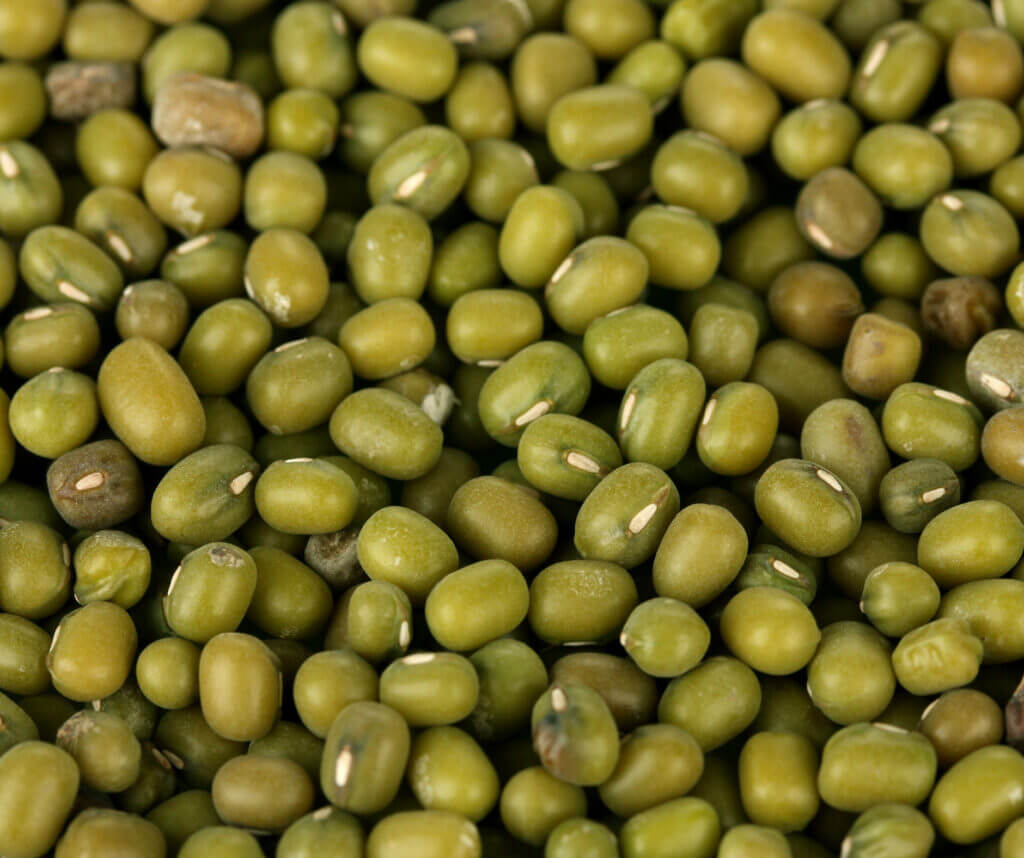 Kitcheree (Mung Beans & Rice)