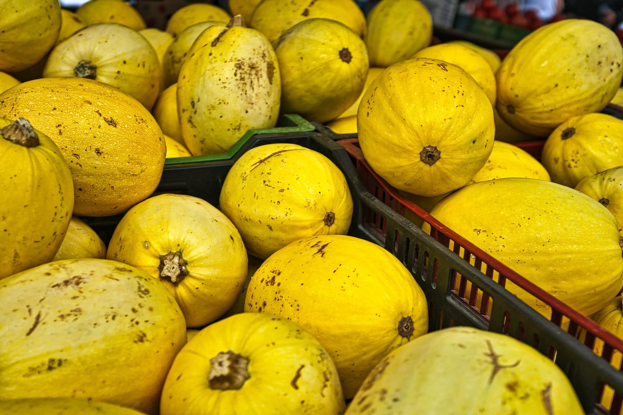 Spaghetti Squash with Turmeric