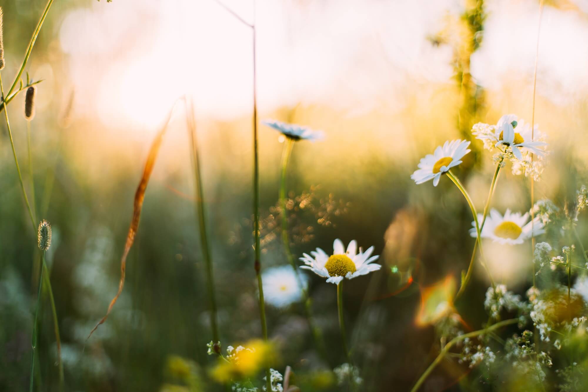 The 4 Stroke Breath to Build Intuition