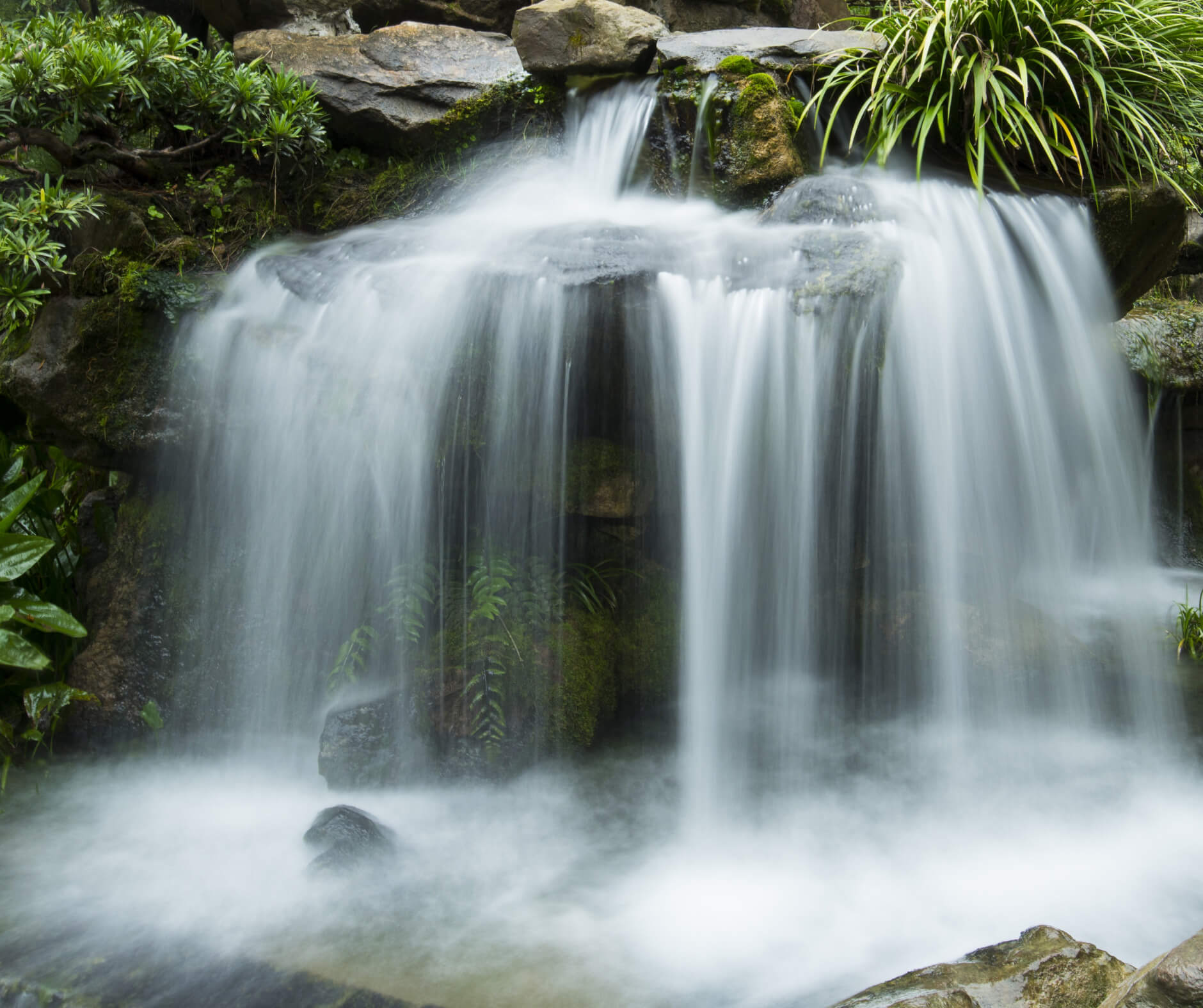 Meditation on Everyone as a Flow of Life